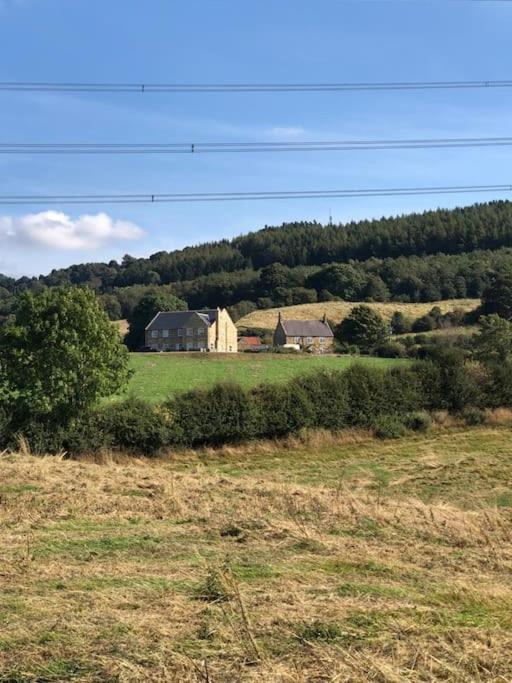Foxhall Farm Thirsk Exteriör bild